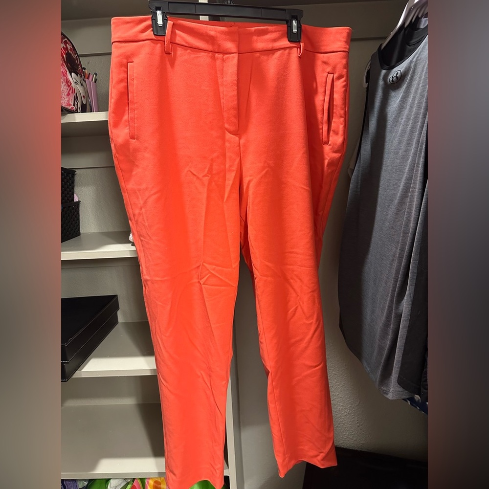 Halogen Straight Leg Trouser Pant